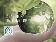 В Санкт-Петербурге запустят онлайн-курс об экологии
