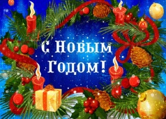 Поздравление депутата Законодательного Собрания Санкт-Петербурга Л.Ю.Менделеевой с Новым годом