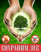 О сбережении лесов России