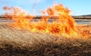 Требования пожарной безопасности при выжигании сухой травянистой растительности на земельных участках
