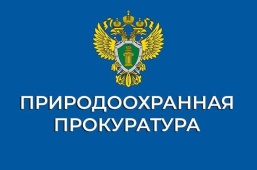 Проведена проверка по факту несанкционированного размещения отходов на территории земельного участка 