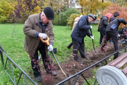 Акция по посадке деревьев с ветеранами МВД