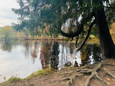 ИТОГИ ФОТОКОНКУРСА «ЗАКРУЖИЛАСЬ ЛИСТВА ЗОЛОТАЯ»