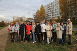 Улицу Вавиловых украсили 30 клёнов! 