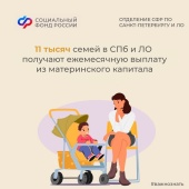 В 2024 году 11 тысяч семей Санкт-Петербурга и области направили средства материнского капитала на получение ежемесячной выплаты
