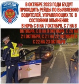 В Петербурге и Ленинградской области сотрудники Госавтоинспекции проведут рейды, по выявлению нетрезвых водителей