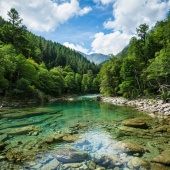 Афиша мероприятий на июль в экоцентрах