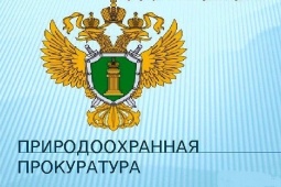 Коммунальщики сливали сточные воды в Каменку