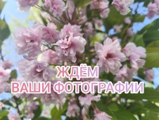Добрососедские отношения и красота вокруг