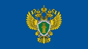 Прокуратура разъясняет. Твердые коммунальные отходы: основы и порядок обращения.