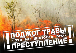 Пал травы