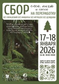 Петербуржцы смогут правильно утилизировать новогодние деревья