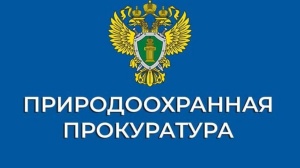 Природоохранная прокуратура потребовала возместить ущерб 