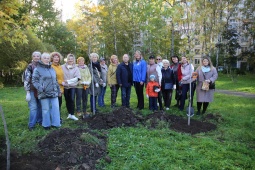 Дарим скверу зеленый наряд