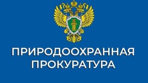 Природоохранная прокуратура информирует о раздельном сборе отходов 