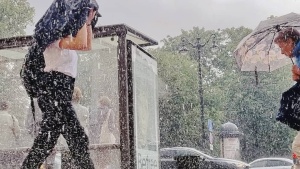 В Петербурге дожди — бороться со стихией призваны 73 бригады Водоканала
