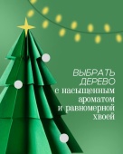 Где искать главную новогоднюю красавицу? Только на легальных ёлочных базарах!