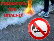 Поджигать тополиный пух - опасно!