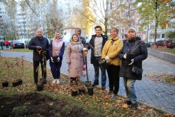 Тихорецкий пр., д. 37 - площадку украсили сирень, яблони и кустики форзиции
