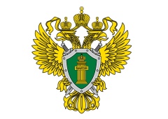 По материалам прокурорской проверки возбуждено уголовное дело по факту подделки судебных приказов