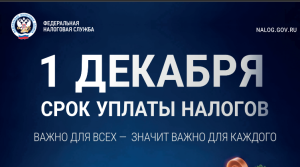 Уплатите налоги до 1 декабря 2026 года 