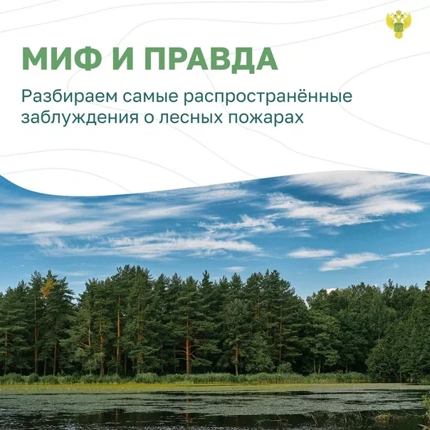пожар1.jpg