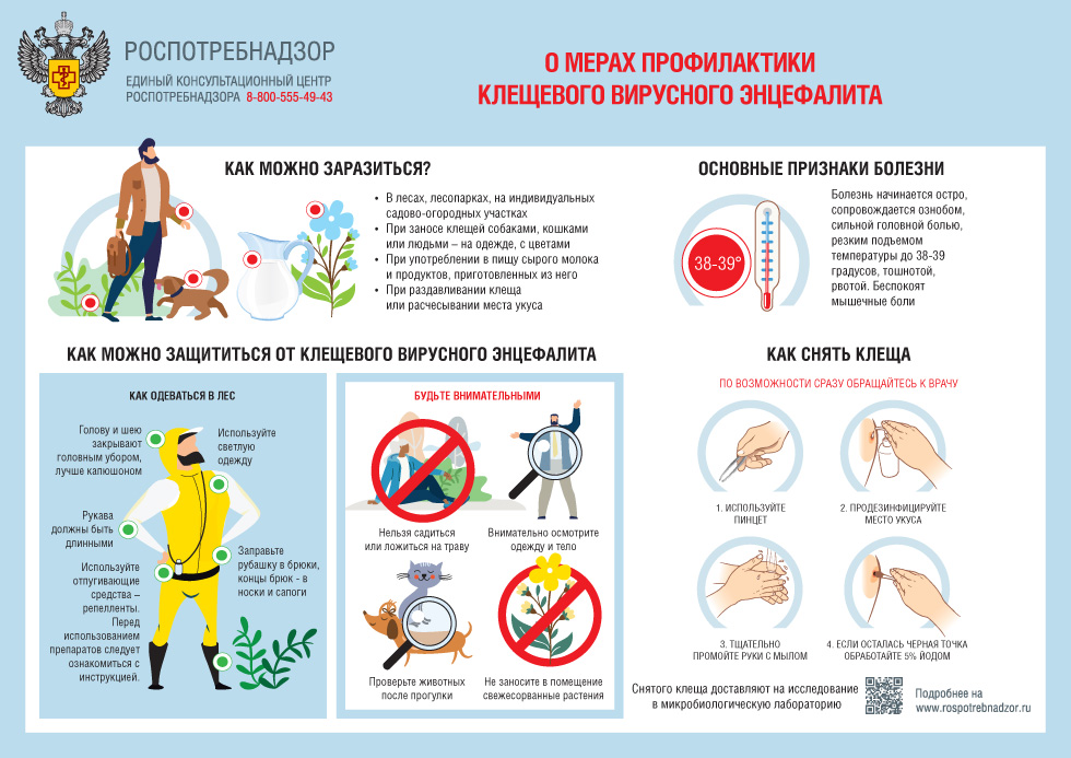 О мерах профилактики клещевого энцефалита..jpg
