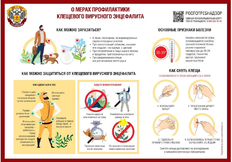 инфографика кл.энцефалит_page-0001 (1).jpg