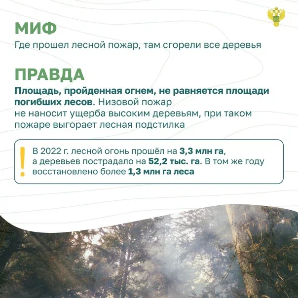 2 (1).jpg