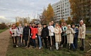 Улицу Вавиловых украсили 30 клёнов! 