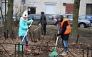 Городской штаб благоустройства Санкт-Петербурга приглашает на День благоустройства