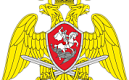 Добровольная сдача незаконно хранящегося оружия и боеприпасов