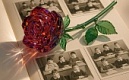 Готовим к открытию выставку фотографий «Школьные годы чудесные»