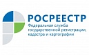 Заместитель руководителя Петербургского Росреестра принял участие в онлайн мероприятии СПбГУ