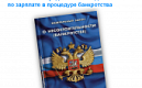 Росреестр Петербурга: разъяснили порядок выплат задолженности по зарплате при процедурах банкротства 