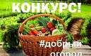 #Добрый огород-2023: сезон открыт