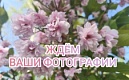 Добрососедские отношения и красота вокруг
