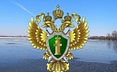 Природоохранная прокуратура г. Санкт-Петербурга провела проверку исполнения земельного законодательства. 