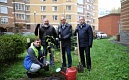 В октябре в Петербурге посадили почти две тысячи деревьев