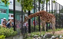 Первоклассники в этом году получат ещё один подарок - бесплатный проход в Ленинградский зоопарк в День знаний