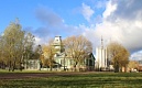 Будьте внимательны! Заметно увеличилась относительная численность серых ворон