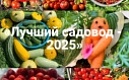  Объявляем о старте онлайн-проекта «Лучший садовод - 2025»