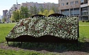 Цветущий округ
