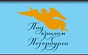 Фестиваль для иностранных граждан «Под крылом Петербурга»