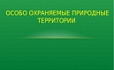 Перспективы развития особо охраняемых природных территорий Петербурга обсудят онлайн