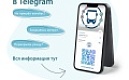 Социальный проект «Чат-бот»