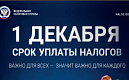 Уплатите налоги до 1 декабря 2026 года 
